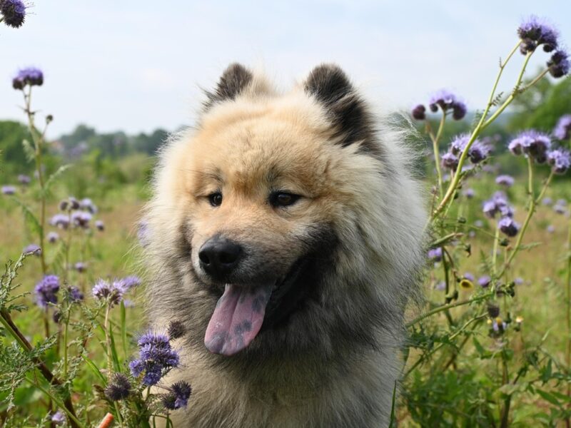 Гороскоп для знаків зодіаку на 1 травня 2025 року