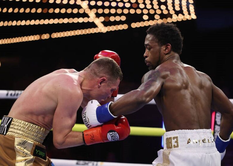 Гвоздик пояснив, чому Берінчик поступився в бою Кішону Девісу