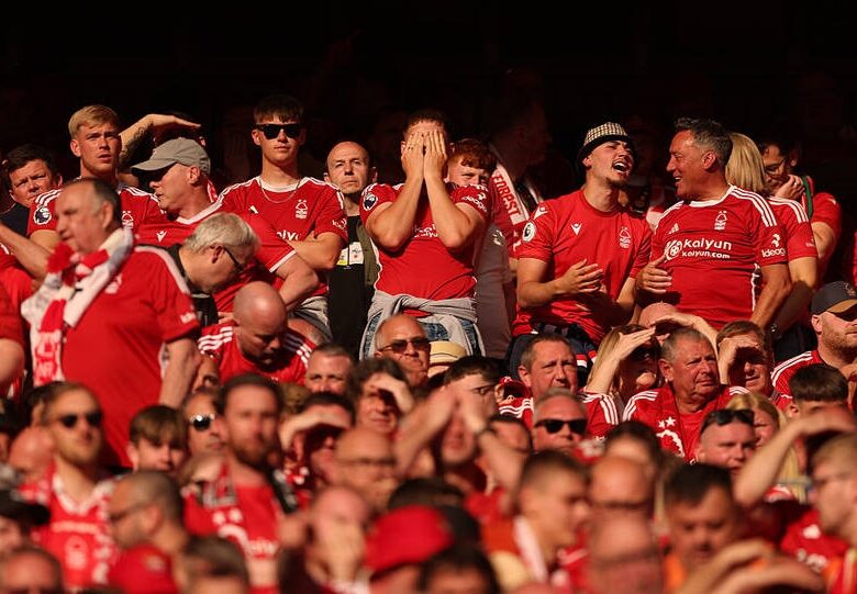 Клуб АПЛ заборонив порноактрисі відвідувати стадіон