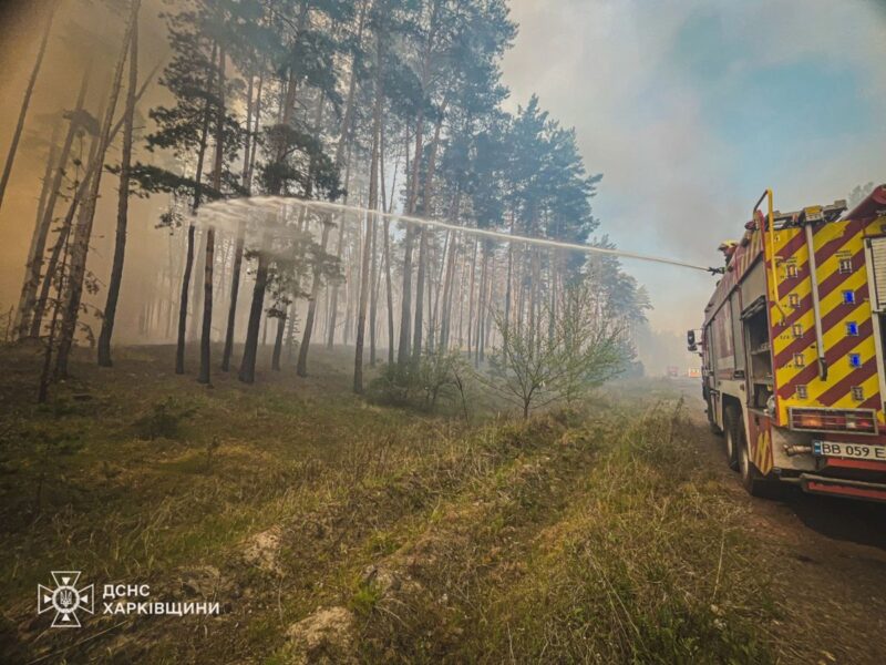 На Харківщині триває ліквідація лісової пожежі