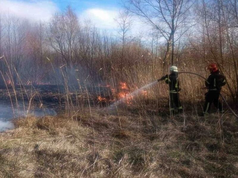 На Київщині двоє людей загинули через спалювання сухої трави
