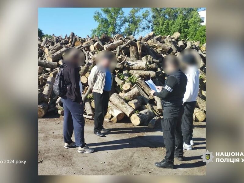 Учасники злочинної організації отримали підозри за розтрату 90 млн під час закупівлі дров для ЗСУ