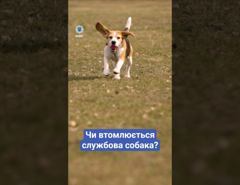 ❓ Чи втомлююсь я