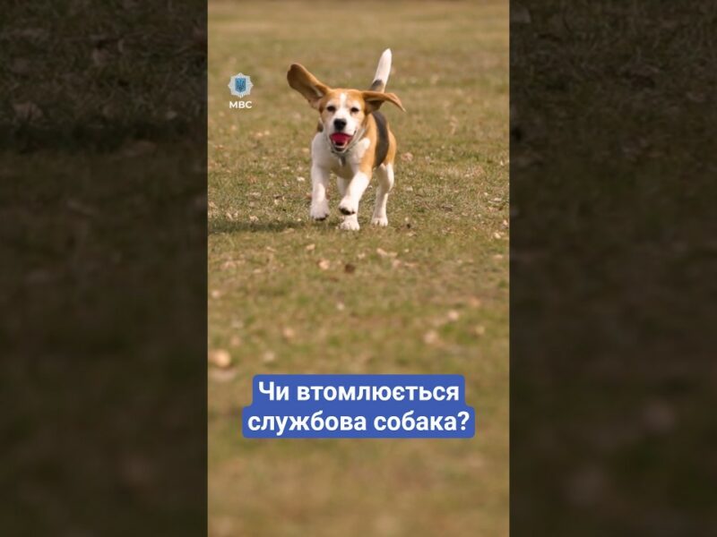 ❓ Чи втомлююсь я