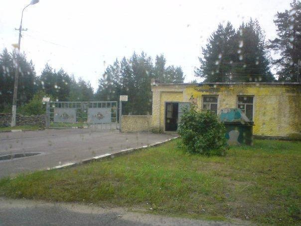 Під Петербургом знайшли тіла двох військових, вбитих однією кулею – ЗМІ