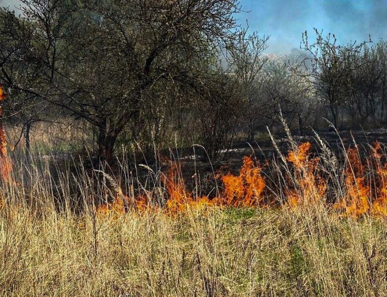 Пожежа сухостою на Львівщині: згоріло 11 дачних будинків