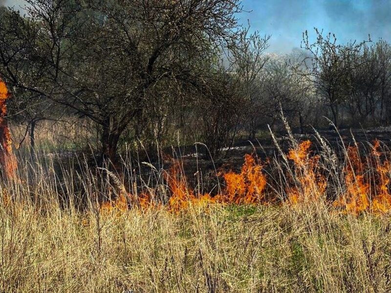 Пожежа сухостою на Львівщині: згоріло 11 дачних будинків