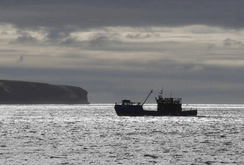 РФ вийшла з угоди про співпрацю в Баренцевому морі