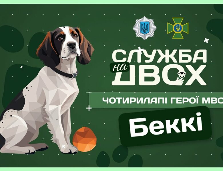 🐶 Беккі – носик, що виявляє вибухівку на кордоні | Служба на двох