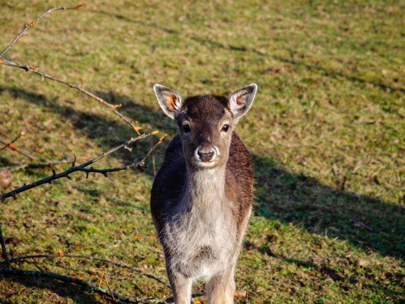 Свята 28 квітня 2025 року: що не можна робити в цей день