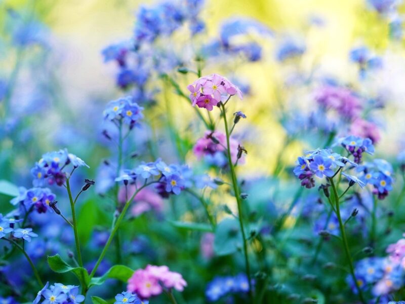 Свята 30 квітня 2025 року: іменини, прикмети