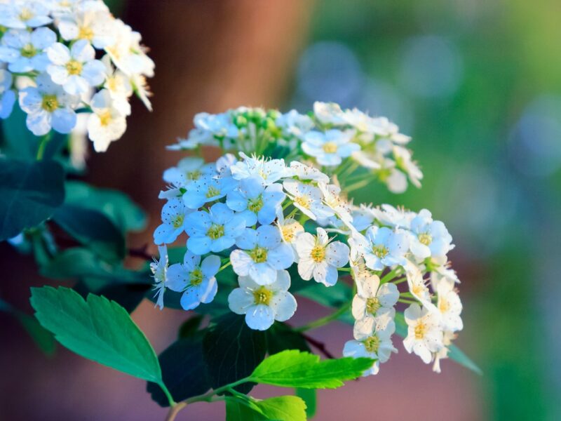 Тепло і грози: прогноз погоди на 22-23 квітня