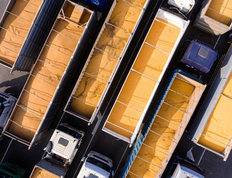 Україна суттєво скоротила експорт зерна