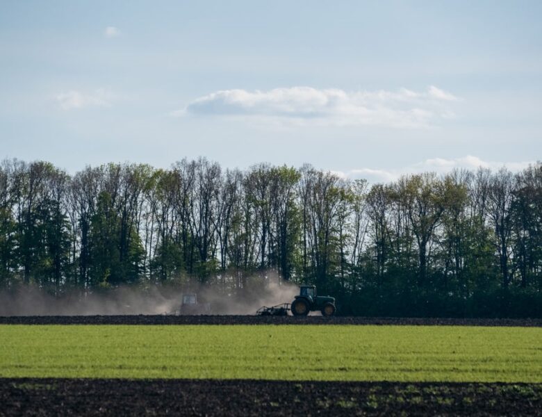 В Україні стартувала сівба гречки
