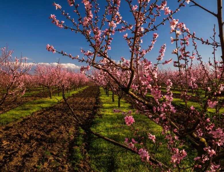 В Україні температура повітря прогріється до +20°C