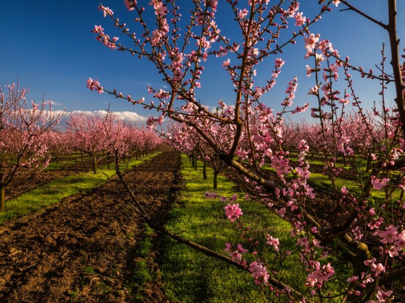 В Україні температура повітря прогріється до +20°C