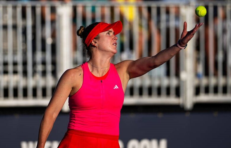 Вдячна тим, від кого відчуваю підтримку: Світоліна про перемогу в Руані