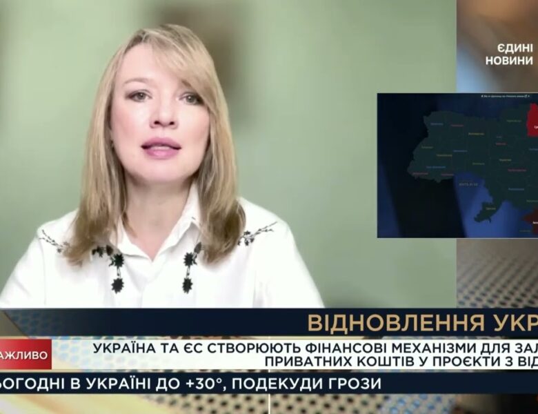 Відбудова України: Як залучатимуть приватні інвестиції з ЄС | Олена Шуляк