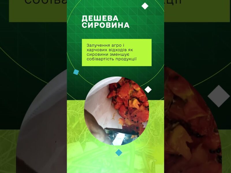 Навігатор із формування пропозиції на продукцію чорної львинки та її реалізації на ринку