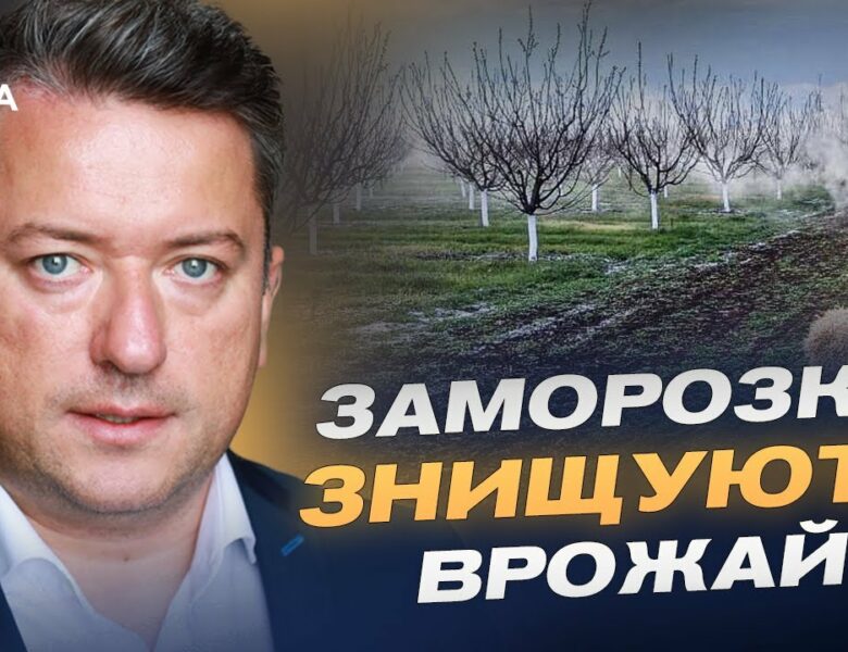 Заморозки ЗНИЩУЮТЬ врожай: що буде з цінами на фрукти та зерно?  | Дмитро Соломчук