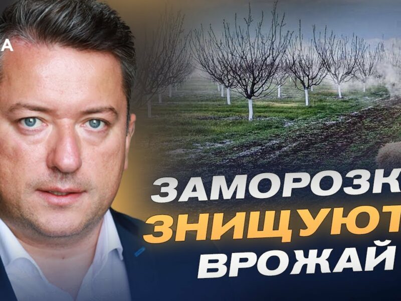 Заморозки ЗНИЩУЮТЬ врожай: що буде з цінами на фрукти та зерно?  | Дмитро Соломчук