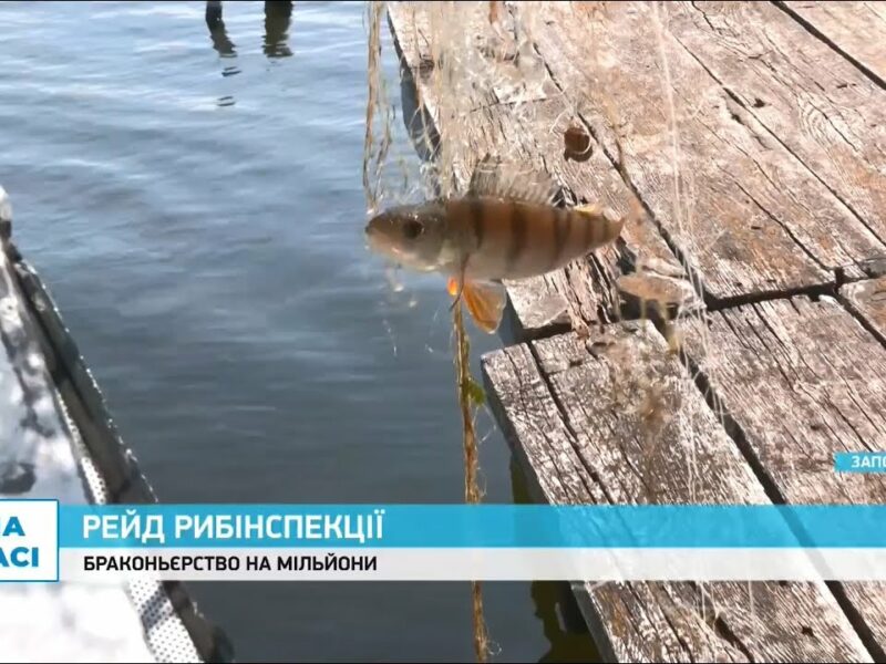 Як запорізьку рибу рятують від браконьєрів