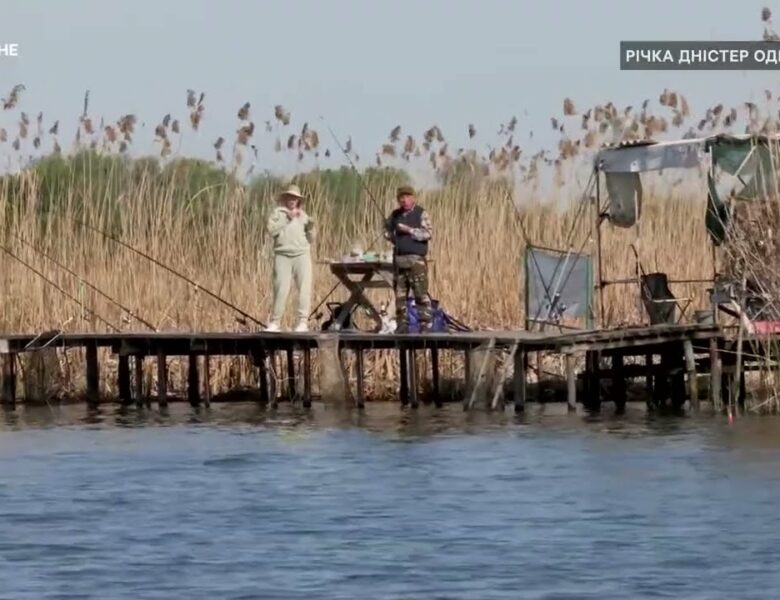 Як рибалити під час нерестової заборони, щоб не порушувати правила