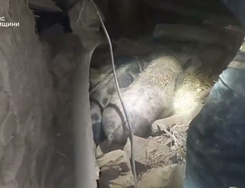 Ворожа атака по житловому сектору Сумщини призвела до загибелі та травмування мирного населення