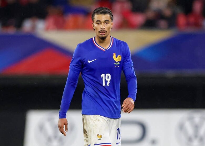 Борнмут Забарного готовий віддати 20 млн євро за заміну Гюйсену