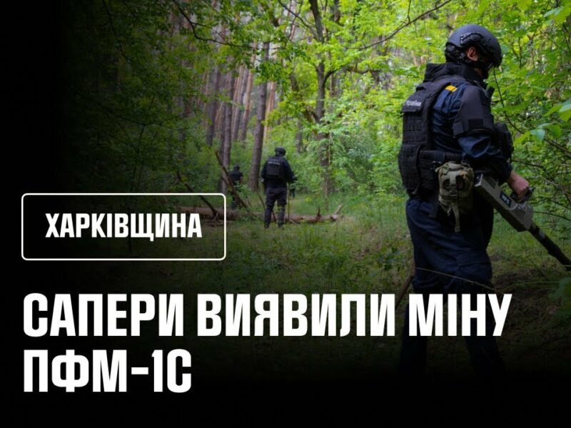 Сапери ДСНС розміновують ліси Ізюмщини: знайдено «пелюстку»