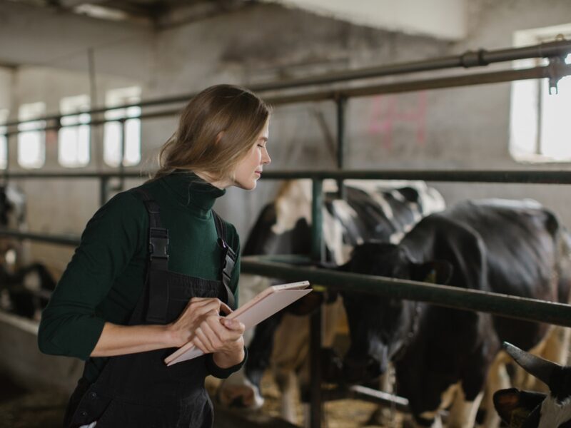 ФАО запускає дворічний план підтримки фермерів України на $150 млн