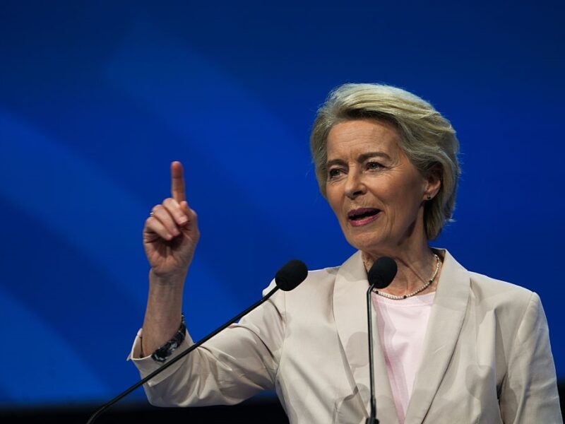 Фон дер Ляєн запропонувала “стратегію дикобраза” для України