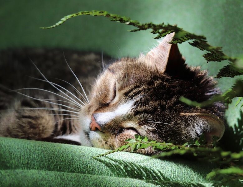 Гороскоп для всіх знаків зодіаку на 28 травня 2025 року