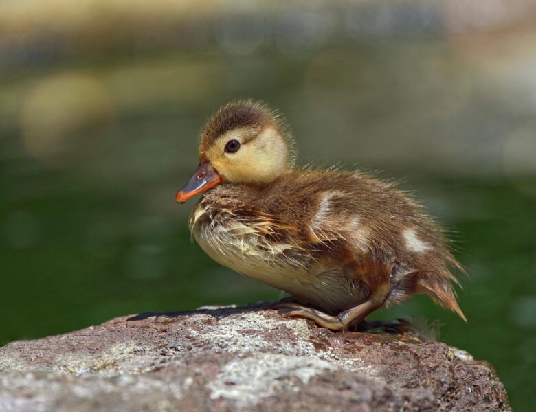 Гороскоп для всіх знаків зодіаку на 30 травня 2025 року