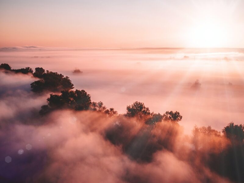 Гороскоп для знаків зодіаку на 23 травня 2025 року