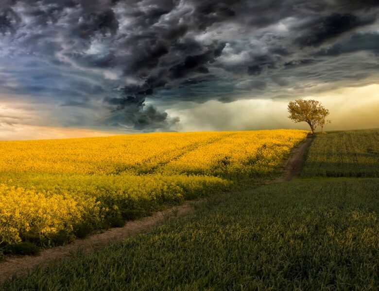 Китай створює “штучні дощі” над посушливими регіонами