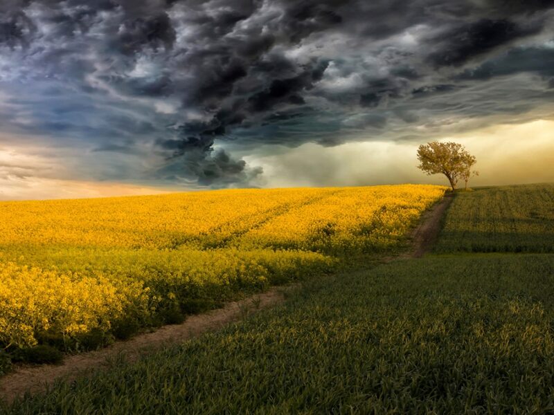 Китай створює “штучні дощі” над посушливими регіонами