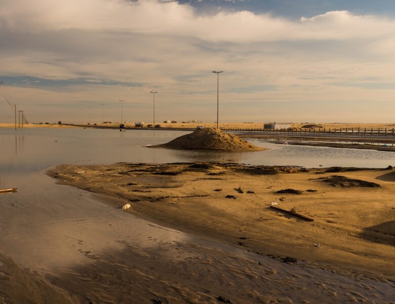Кувейт і Саудівська Аравія відкрили нове родовище нафти
