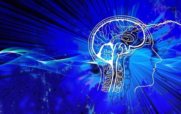 Малорухливий спосіб життя може зменшувати мозок – дослідження