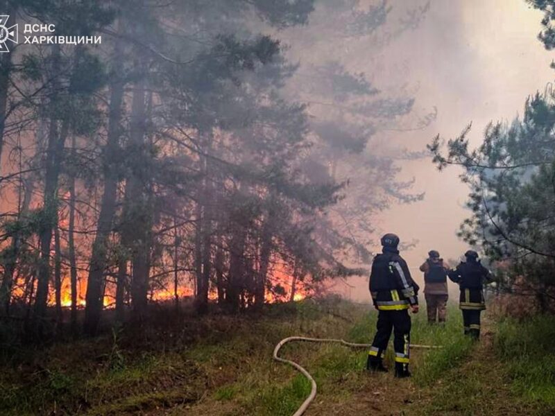 На Харківщині локалізували масштабну лісову пожежу