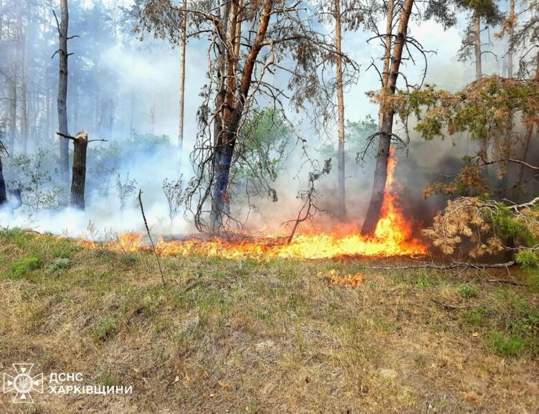 На Харківщині триває ліквідація 11 лісових пожеж