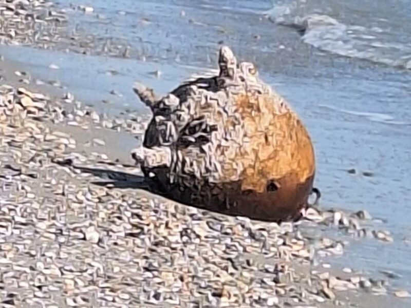 На Одещині знищили російську морську міну