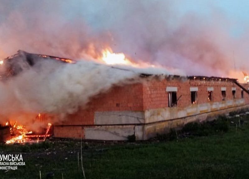 На Сумщині загинули сотні свійських тварин через російську атаку