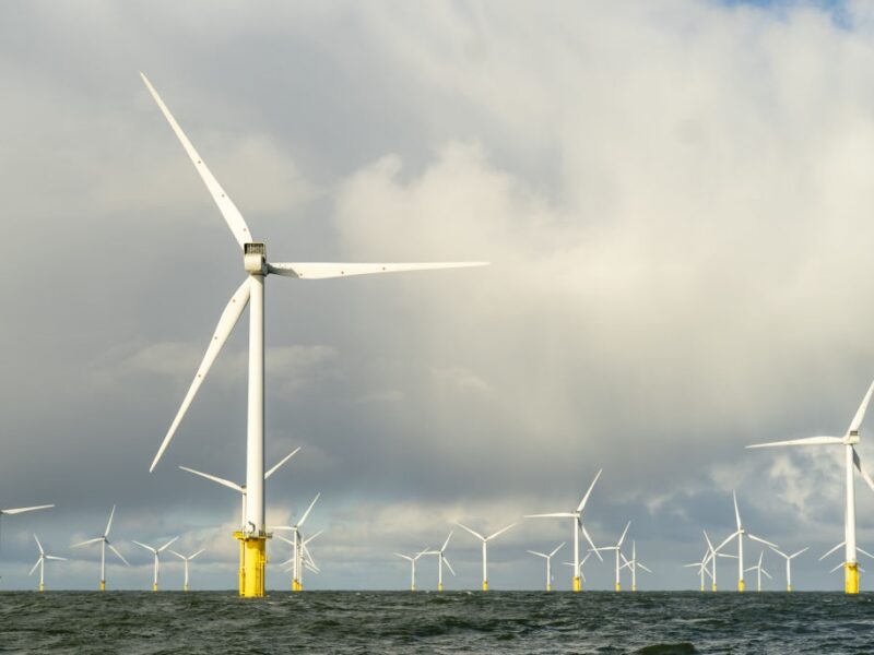 Нідерланди звинуватили Бельгію у “крадіжці вітру”