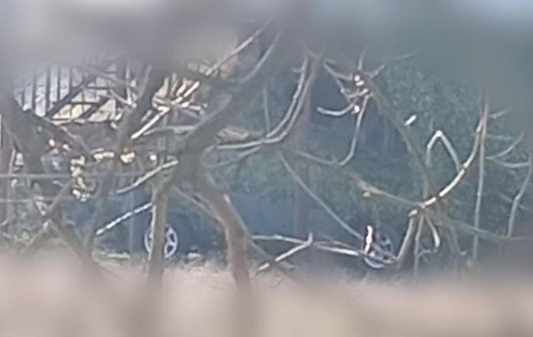 Партизани знищили техніку росіян на Херсонщині