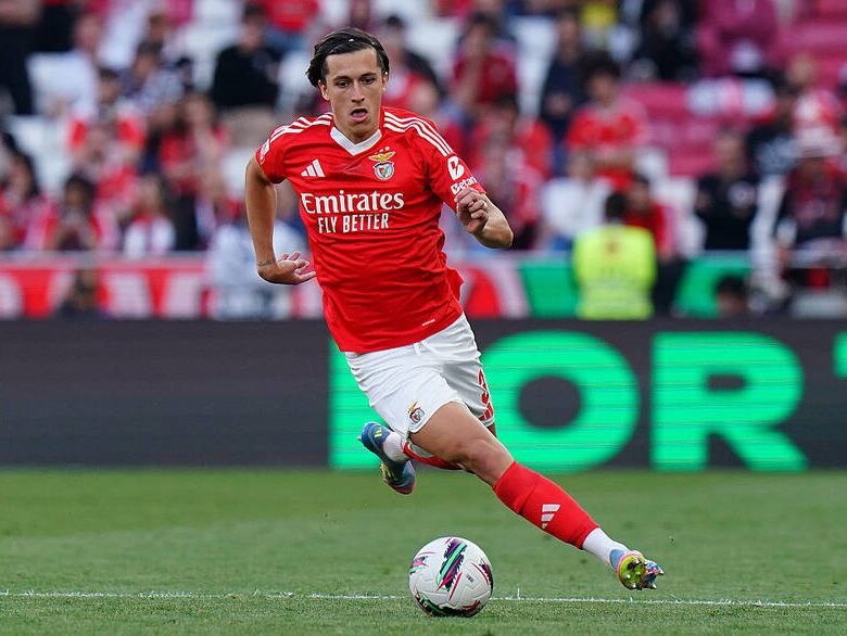 Реал намірився придбати перспективного захисника Бенфіки