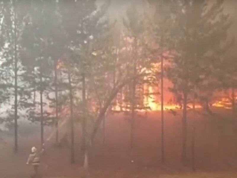 Росію охопили найбільші за останні сім років пожежі