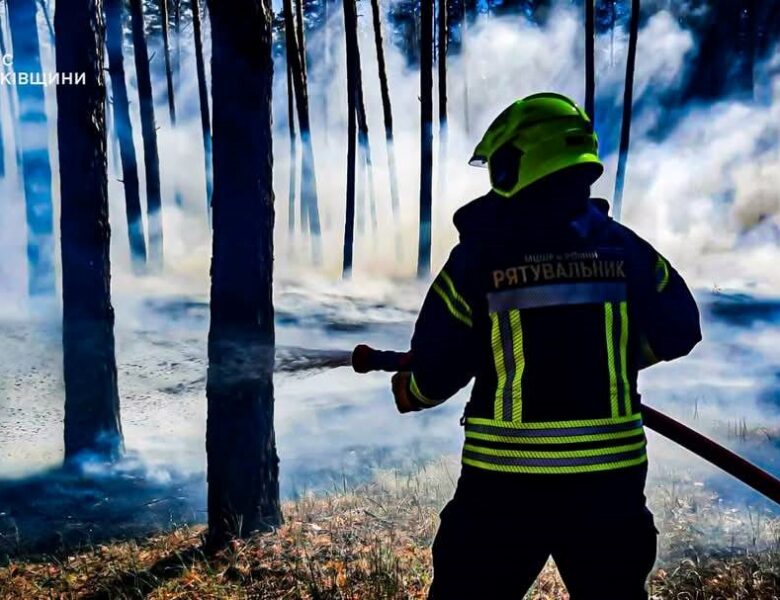 Рятувальники ліквідували п’ять лісових пожеж на Харківщині
