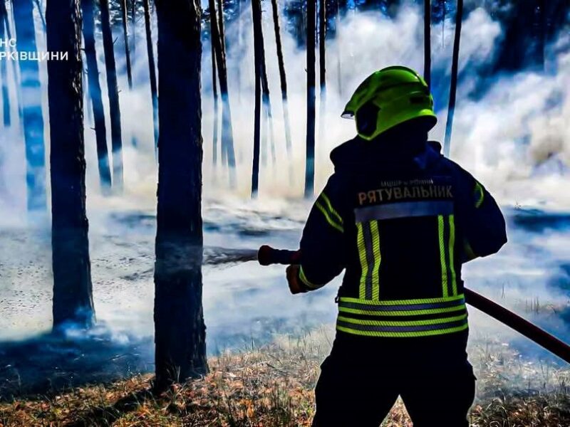 Рятувальники ліквідували п’ять лісових пожеж на Харківщині
