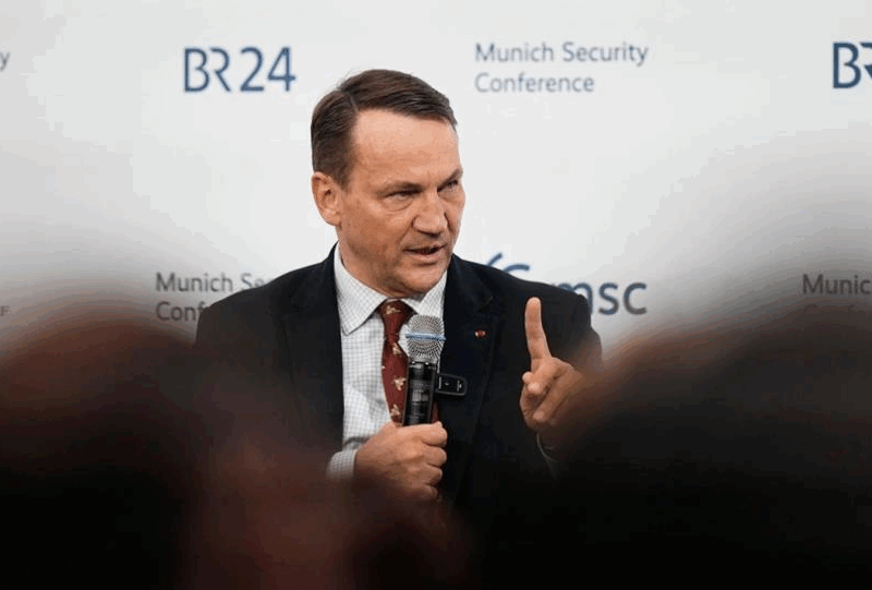 Сікорський заявив, що ЄС може стримувати Росію і без участі США